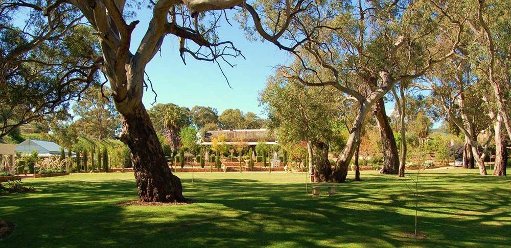 Jacobs Creek Retreat - Barossa Valley Тананда Екстериор снимка